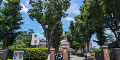 成蹊大学